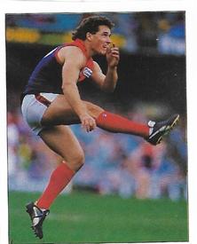 1994 Select AFL Stickers #168 Allen Jakovich Front